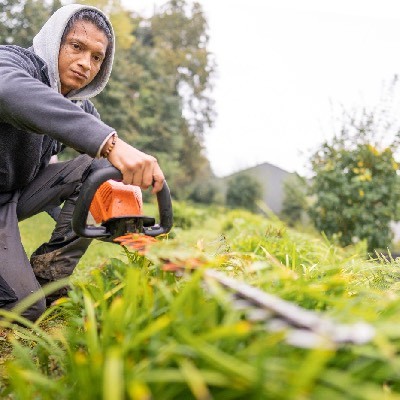 Élagage et abattage: travaux idéaux pour l'automne et l'hiver