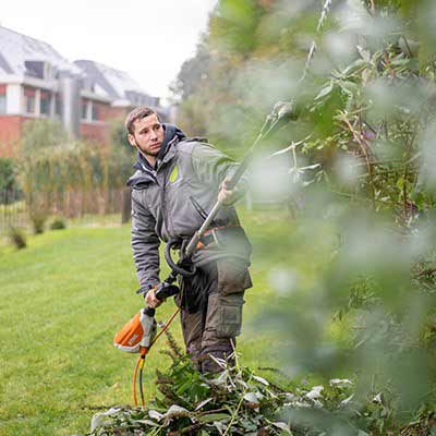 Entretien parcs et jardins