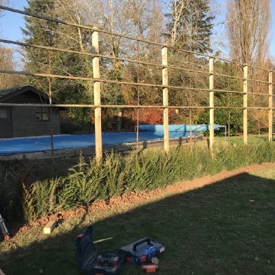 Réalisation d'une structure pour arbres palissés à Namur