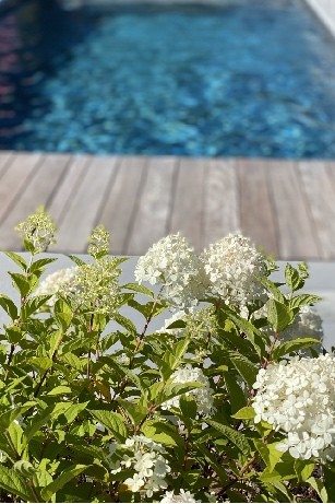Comment aménager son jardin avec une piscine sur Namur ?
