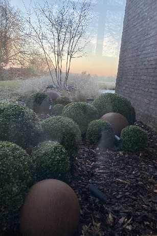 Aménagement d'un parterre avec des plantations