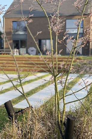 Aménagement d'un jardin avec des fleurs et des dalles à Corroy-le-Château