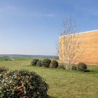 Création d'un design et entretien d'arbres à Assesse