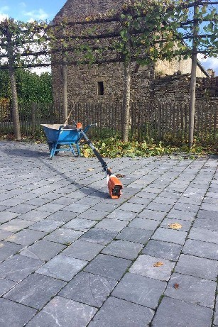 Taille et entretien d'arbres dans un jardin privé à Courrière