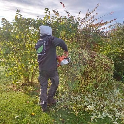 Entretien d'espaces verts et travaux de taille à Louvain-la-Neuve