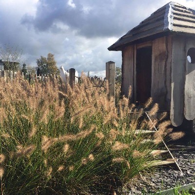 Création sur-mesure d'un poulailler en bois et plantation de pennisetum galop Hameln à Naninne