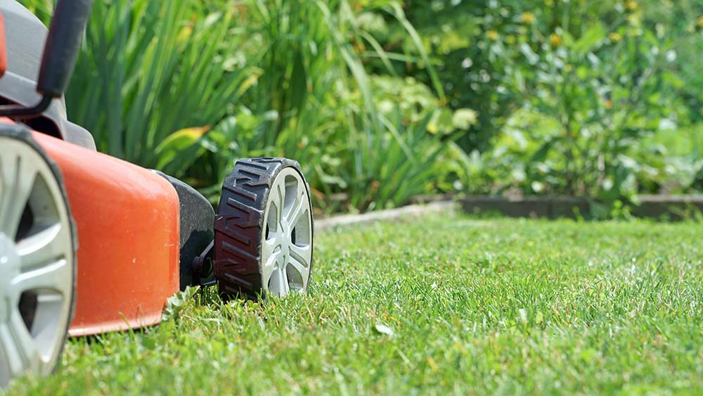 Entretien d’espaces verts pour les entreprises à Namur